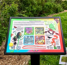 sgn BWG Int 1 Overview